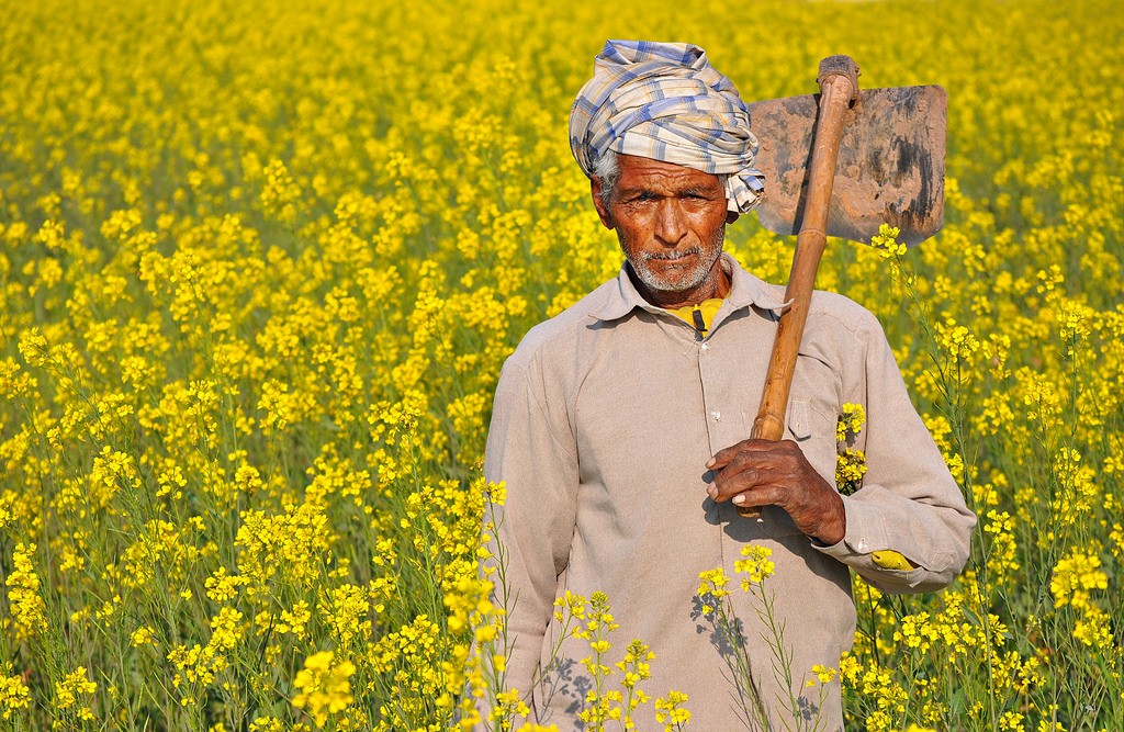 Indian-Farmer